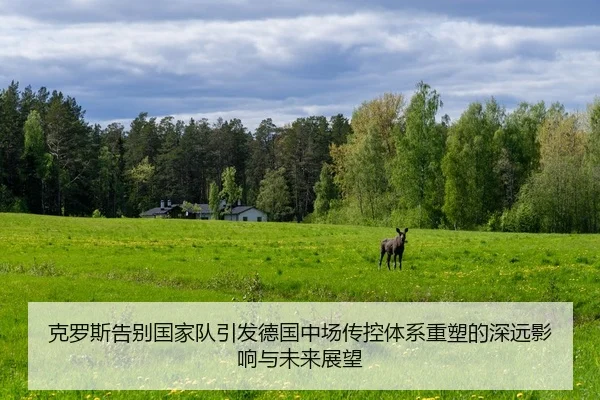 克罗斯告别国家队引发德国中场传控体系重塑的深远影响与未来展望