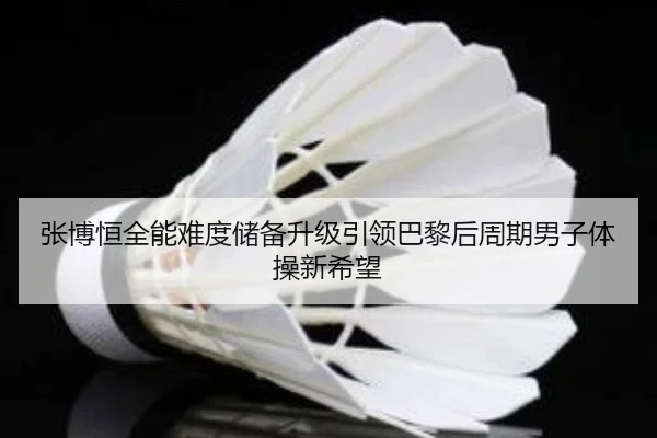 张博恒全能难度储备升级引领巴黎后周期男子体操新希望