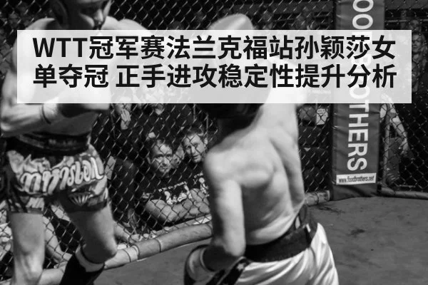 WTT冠军赛法兰克福站孙颖莎女单夺冠 正手进攻稳定性提升分析