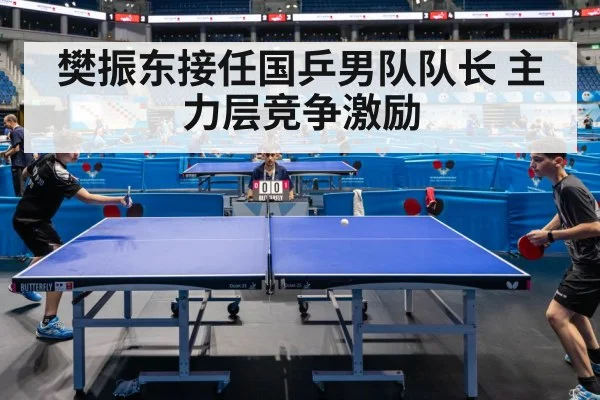 Chinese table tennis competition