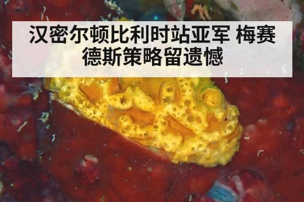 汉密尔顿比利时站亚军 梅赛德斯策略留遗憾