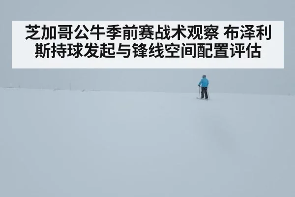 芝加哥公牛季前赛战术观察 布泽利斯持球发起与锋线空间配置评估